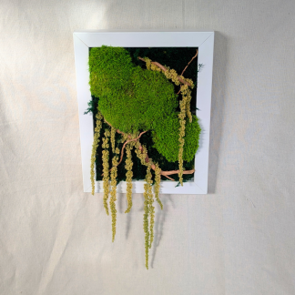 Medium Rectangle Moss Frame with Amaranthus & Driftwood