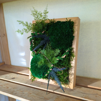 Medium Moss Frame with Air Ferns, Ferns, Amaranthus & Driftwood