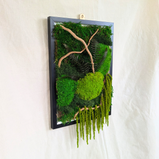 Large Moss Frame with Driftwood, Amaranthus & Ferns