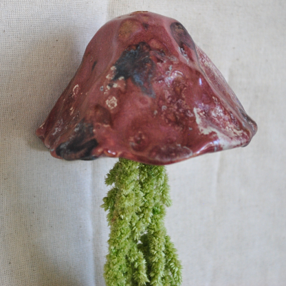 Jellyfish Amaranthus - Image 2