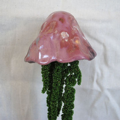 Jellyfish Amaranthus - Image 2