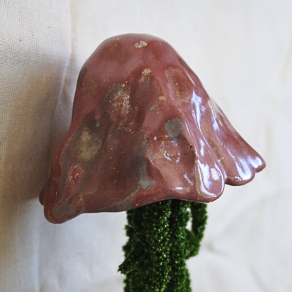 Jellyfish Amaranthus - Image 3