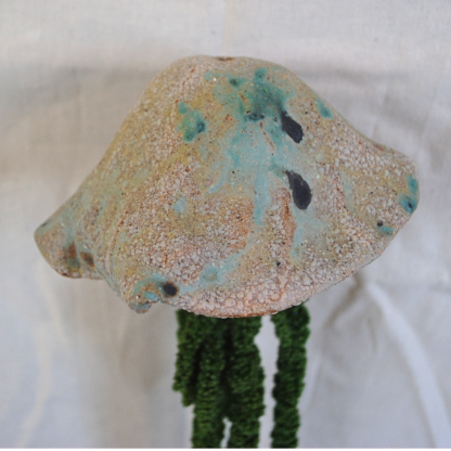 Jellyfish Amaranthus - Image 3