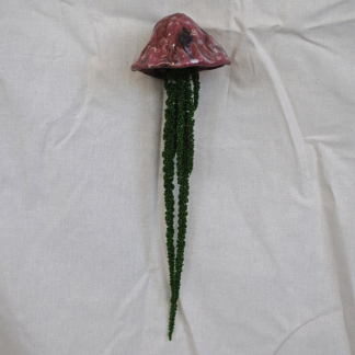 Jellyfish Amaranthus