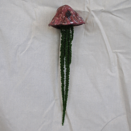 Jellyfish Amaranthus