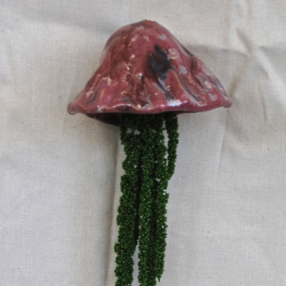 Jellyfish Amaranthus - Image 2