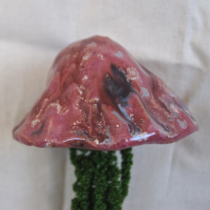 Jellyfish Amaranthus - Image 3