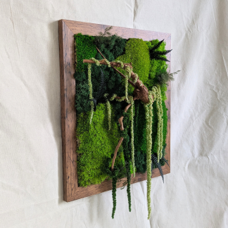 Large Moss Frame with Driftwood, Amaranthus & Ferns