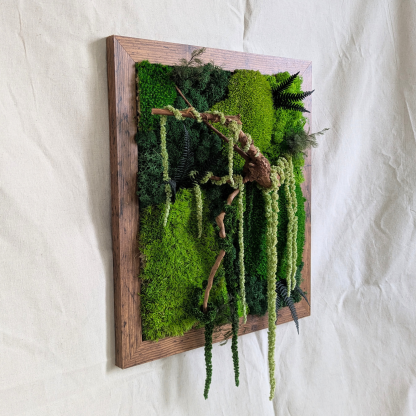 Large Moss Frame with Driftwood, Amaranthus & Ferns