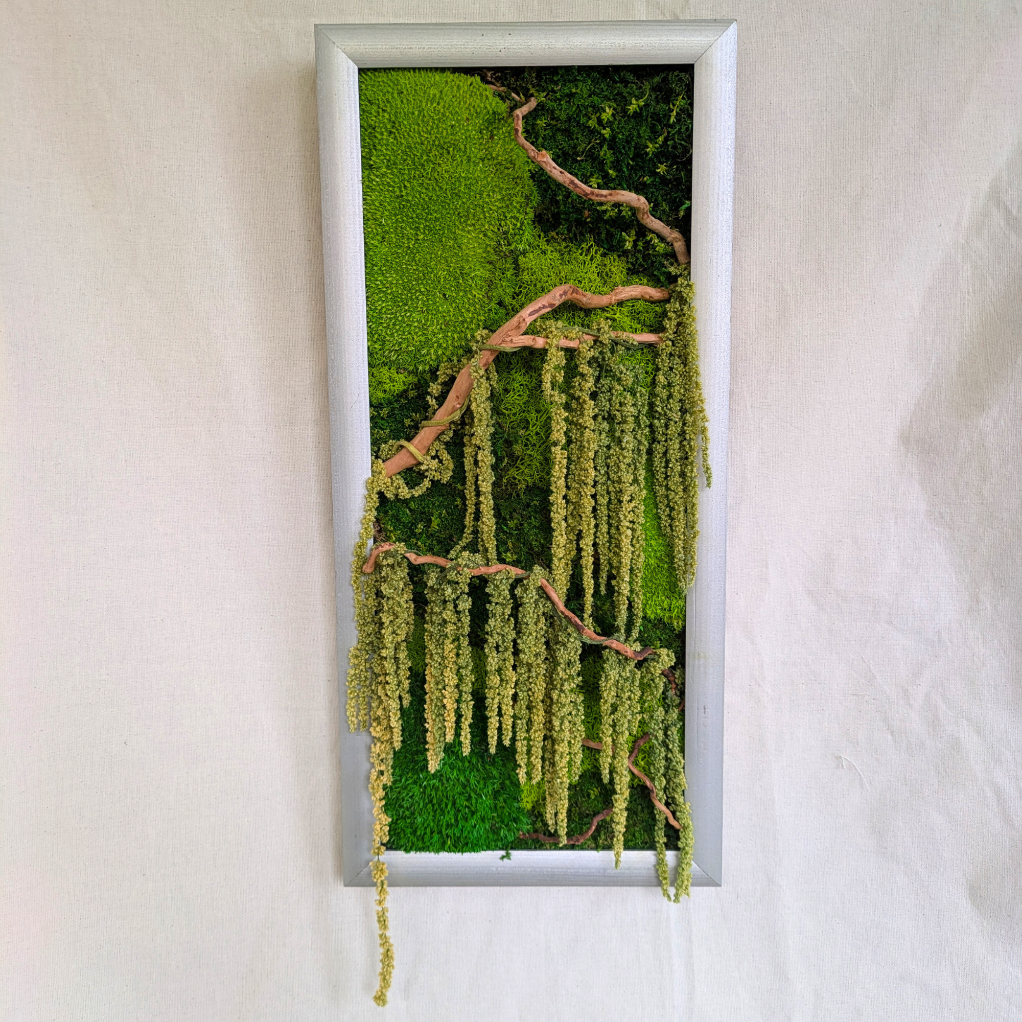 Large Rectangle Silver Moss Frame with Amaranthus & Driftwood - Image 2