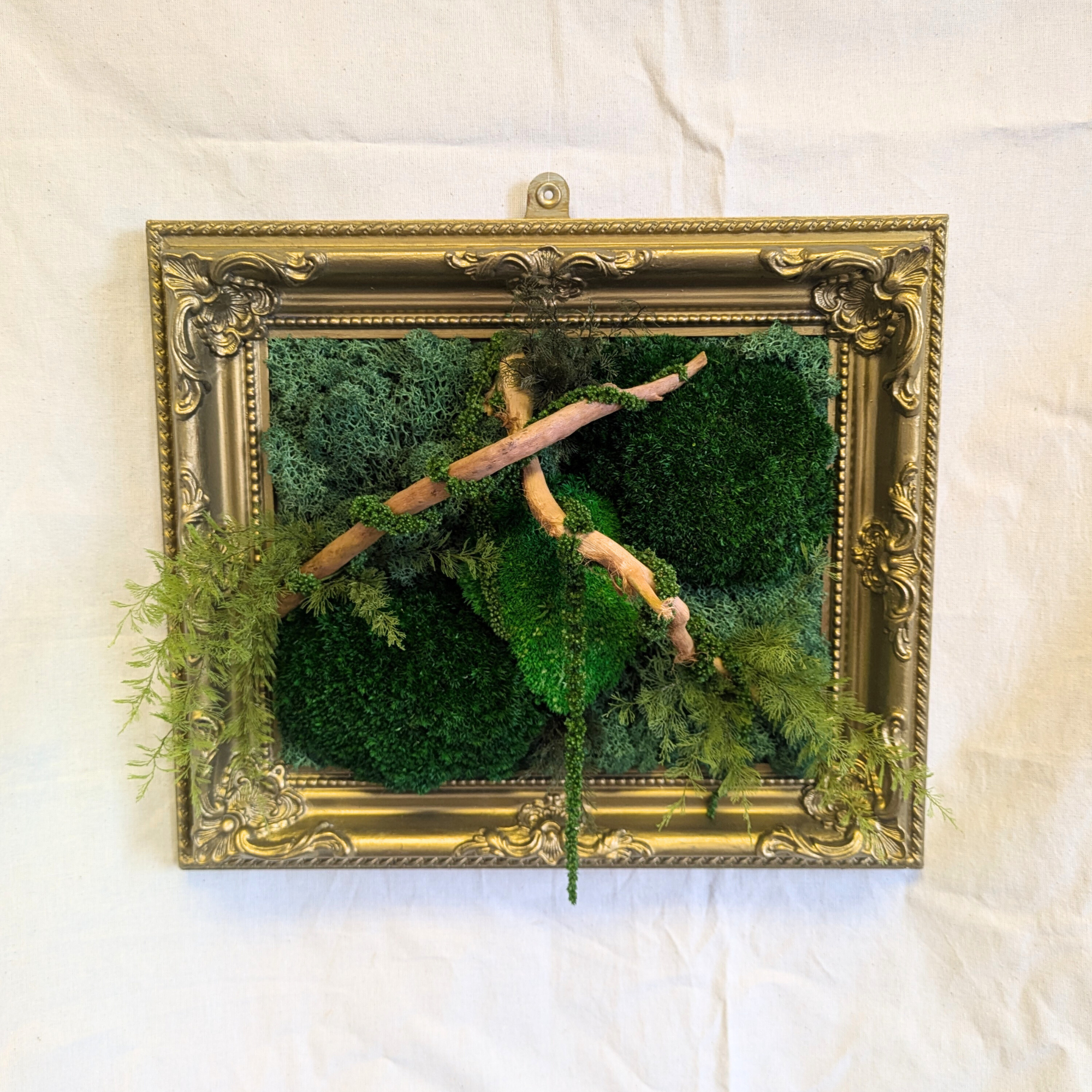 Ornate Preserved Moss Frame Decor with Driftwood, Air Ferns & Amaranthus - Image 3