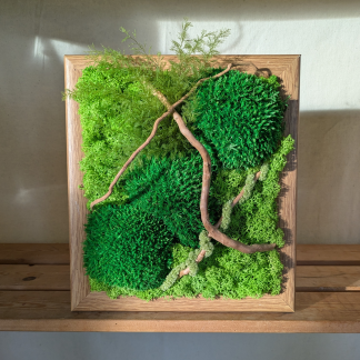 Medium Preserved Moss Frame with Driftwood, Air Ferns & Amaranthus