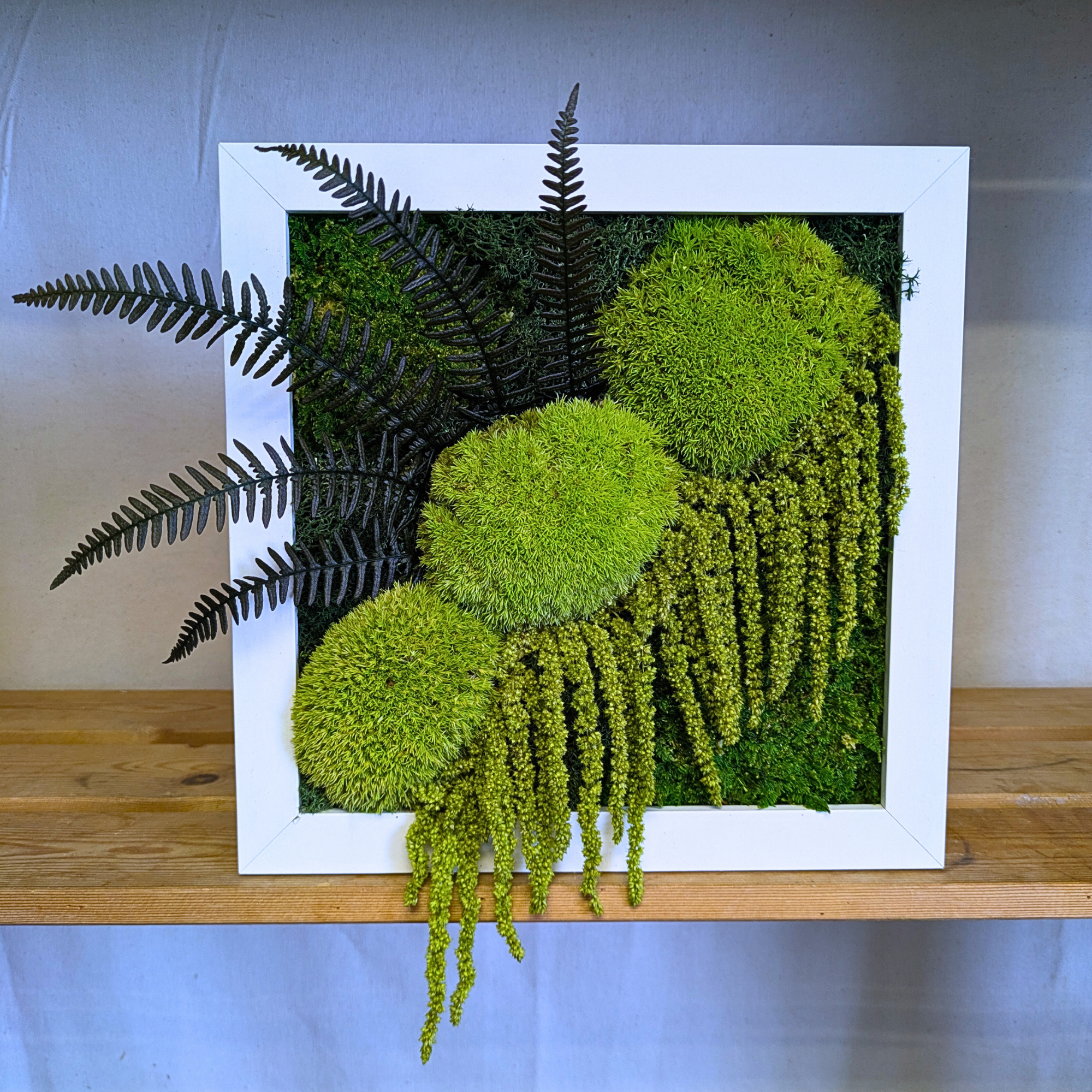 Medium Square White Moss Frame with Ferns & Amaranthus