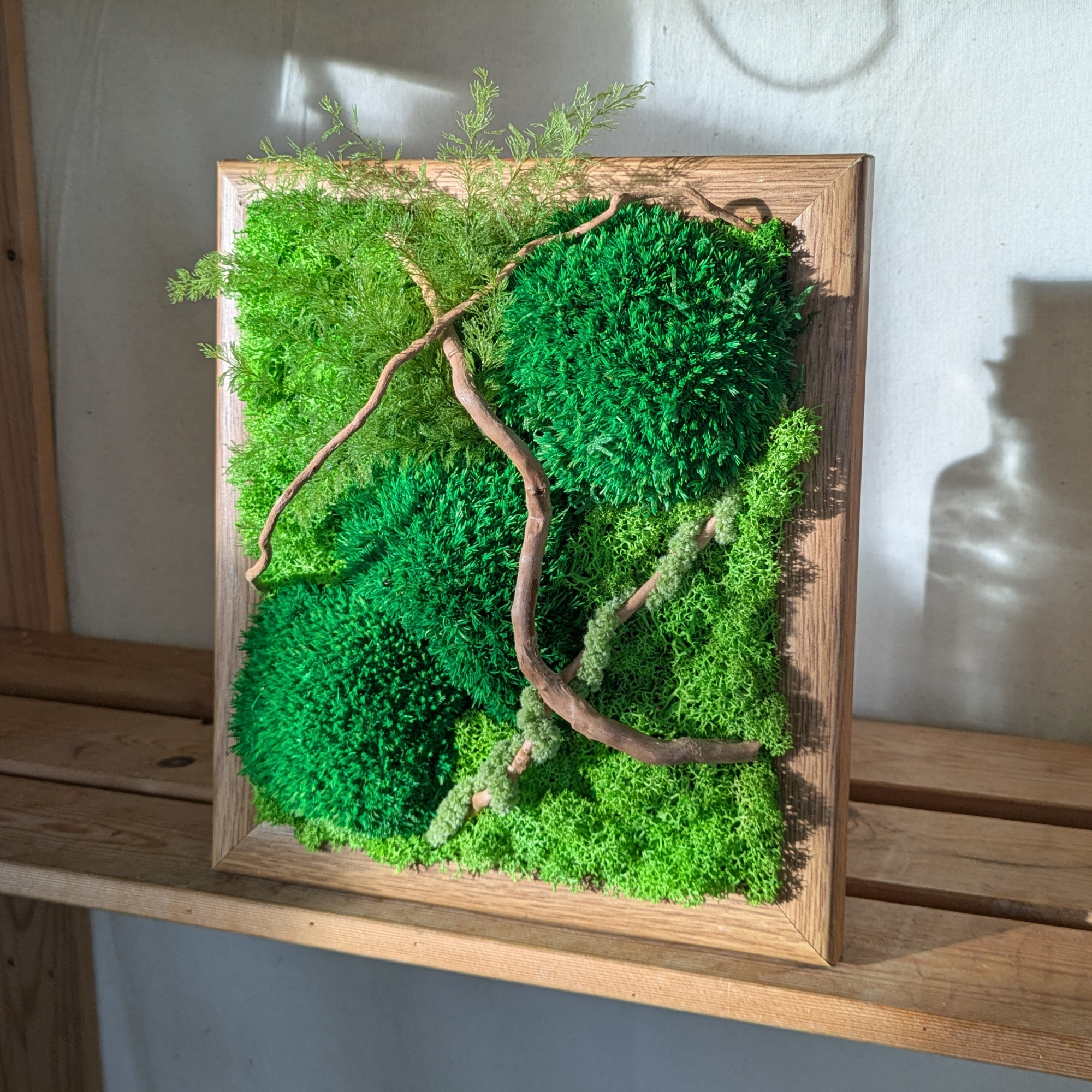 Medium Preserved Moss Frame with Driftwood, Air Ferns & Amaranthus - Image 2