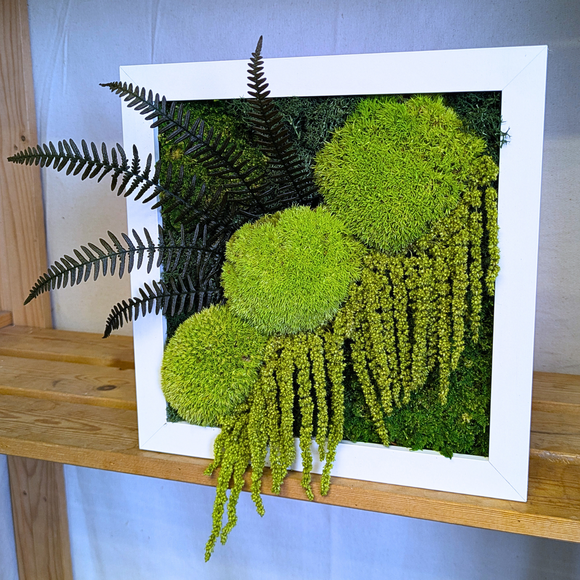 Medium Square White Moss Frame with Ferns & Amaranthus - Image 2
