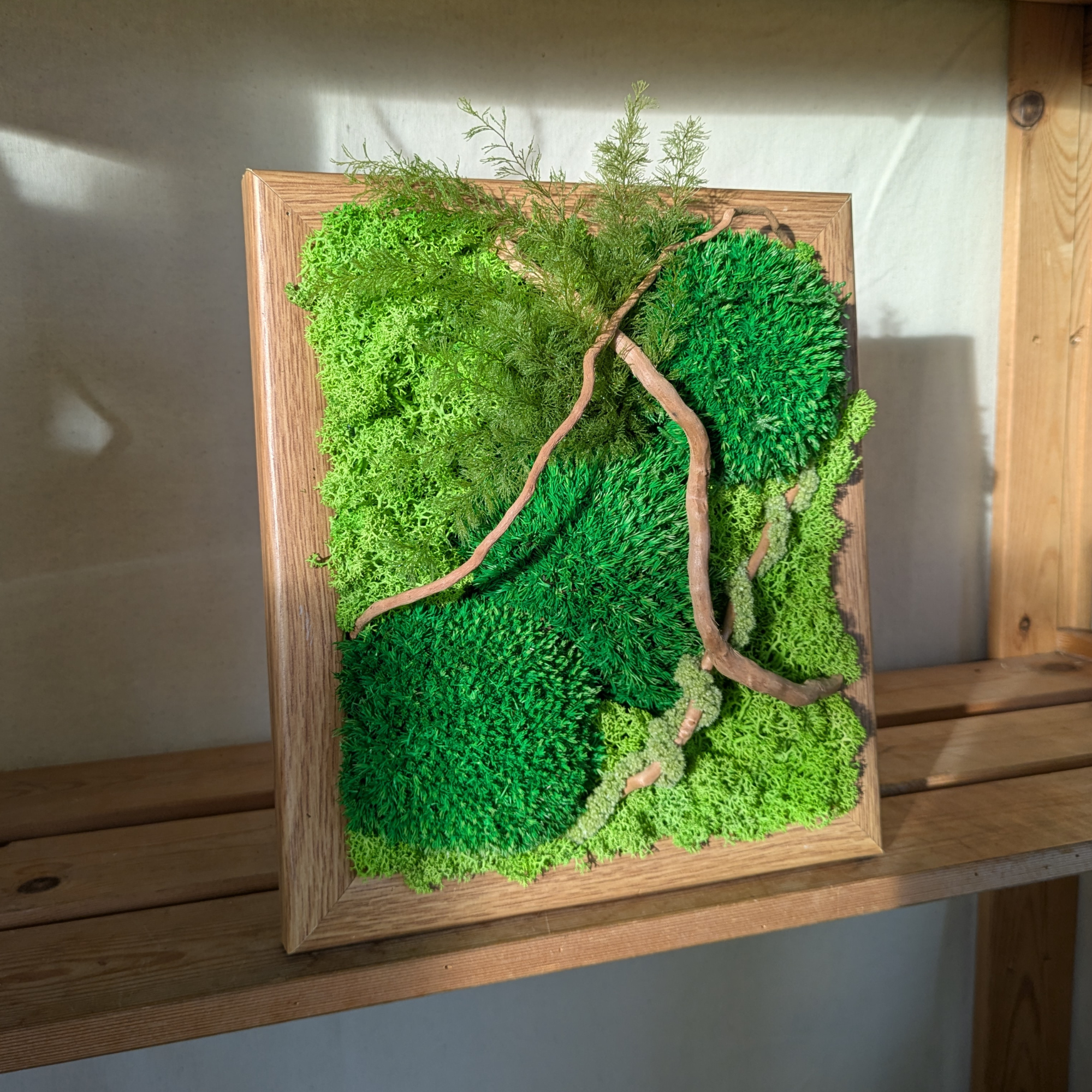Medium Preserved Moss Frame with Driftwood, Air Ferns & Amaranthus - Image 3