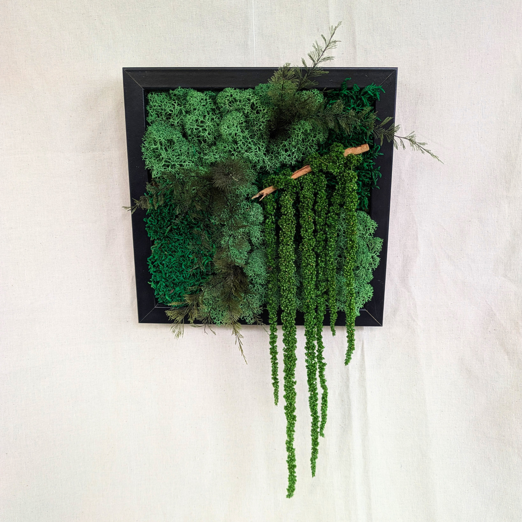 Medium Preserved Moss Frame with Driftwood, Air Ferns & Amaranthus - Image 3
