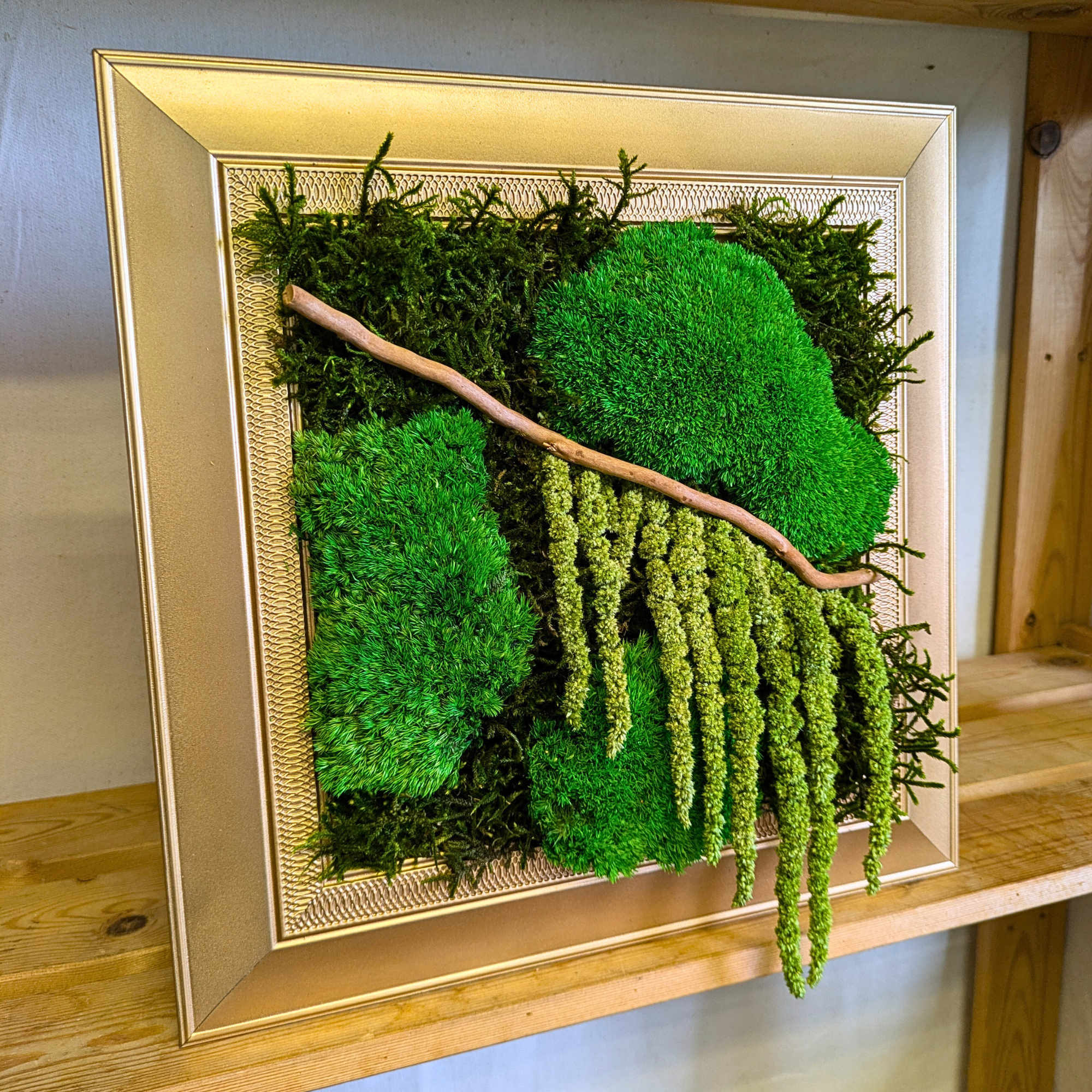 Medium Gold Square Moss Frame with Driftwood & Amaranthus