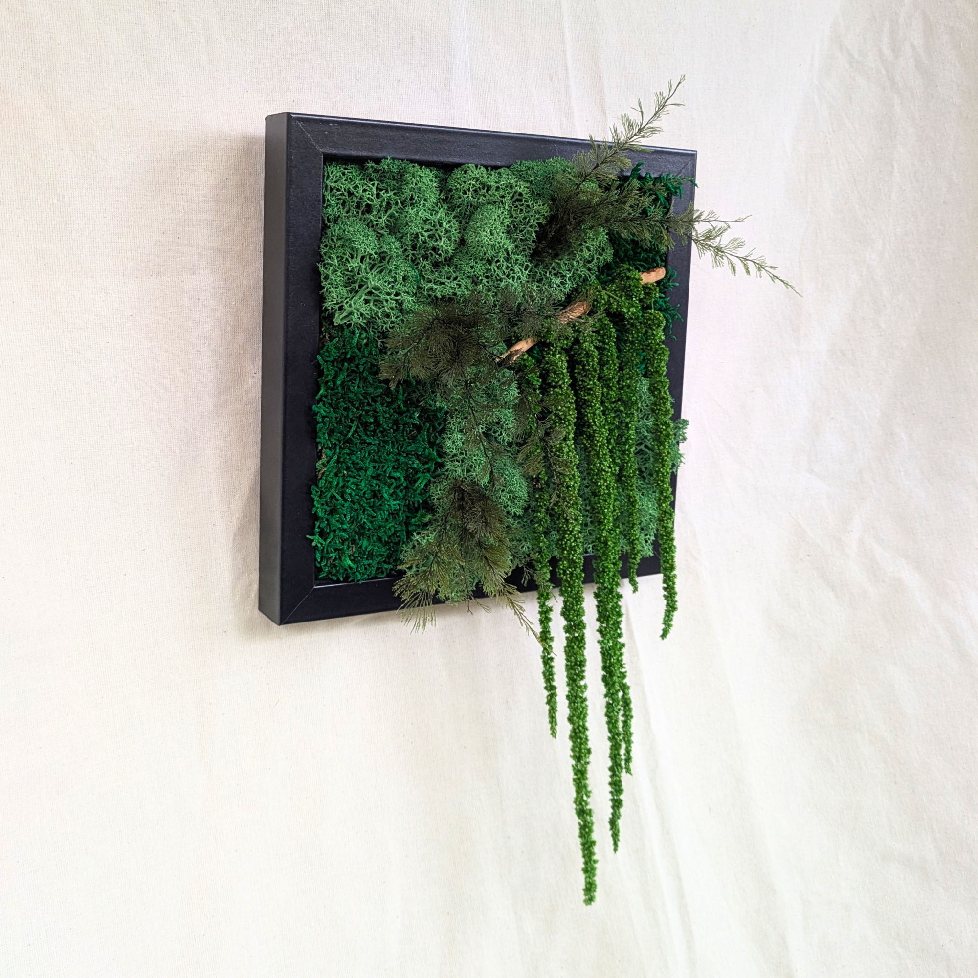 Medium Preserved Moss Frame with Driftwood, Air Ferns & Amaranthus - Image 2