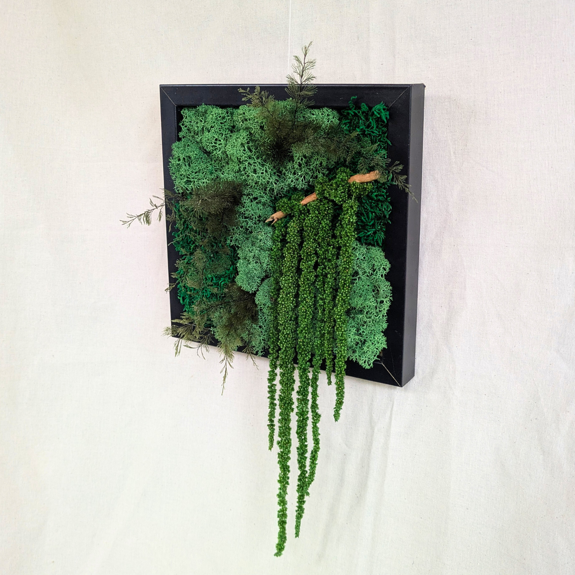 Medium Preserved Moss Frame with Driftwood, Air Ferns & Amaranthus