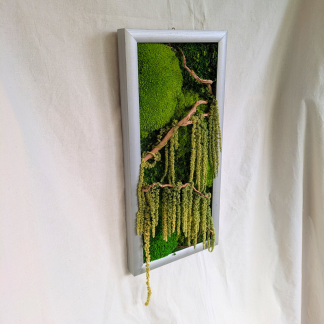 Large Rectangle Silver Moss Frame with Amaranthus & Driftwood