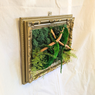Ornate  Preserved Moss Frame Decor with Driftwood, Air Ferns & Amaranthus