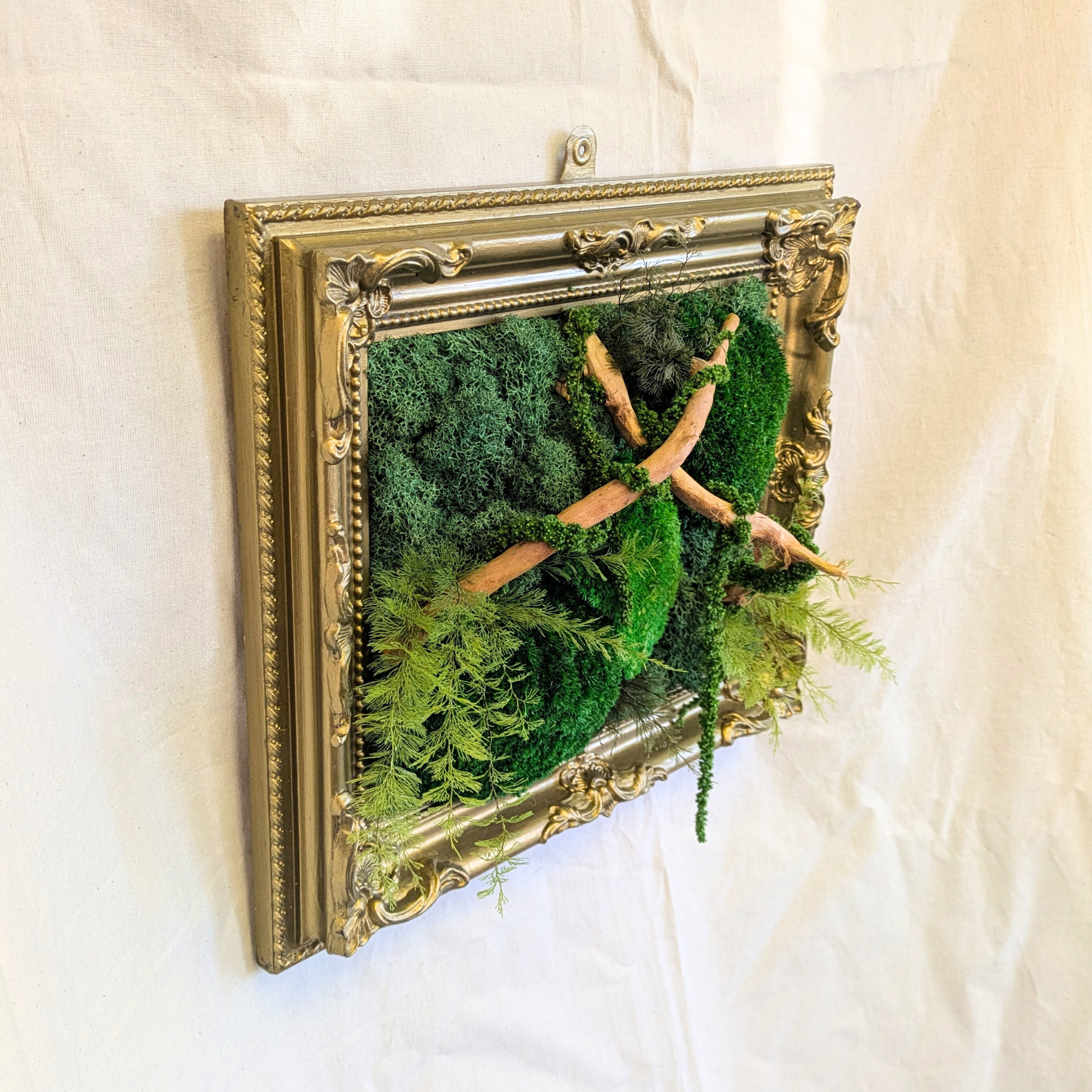 Ornate Preserved Moss Frame Decor with Driftwood, Air Ferns & Amaranthus