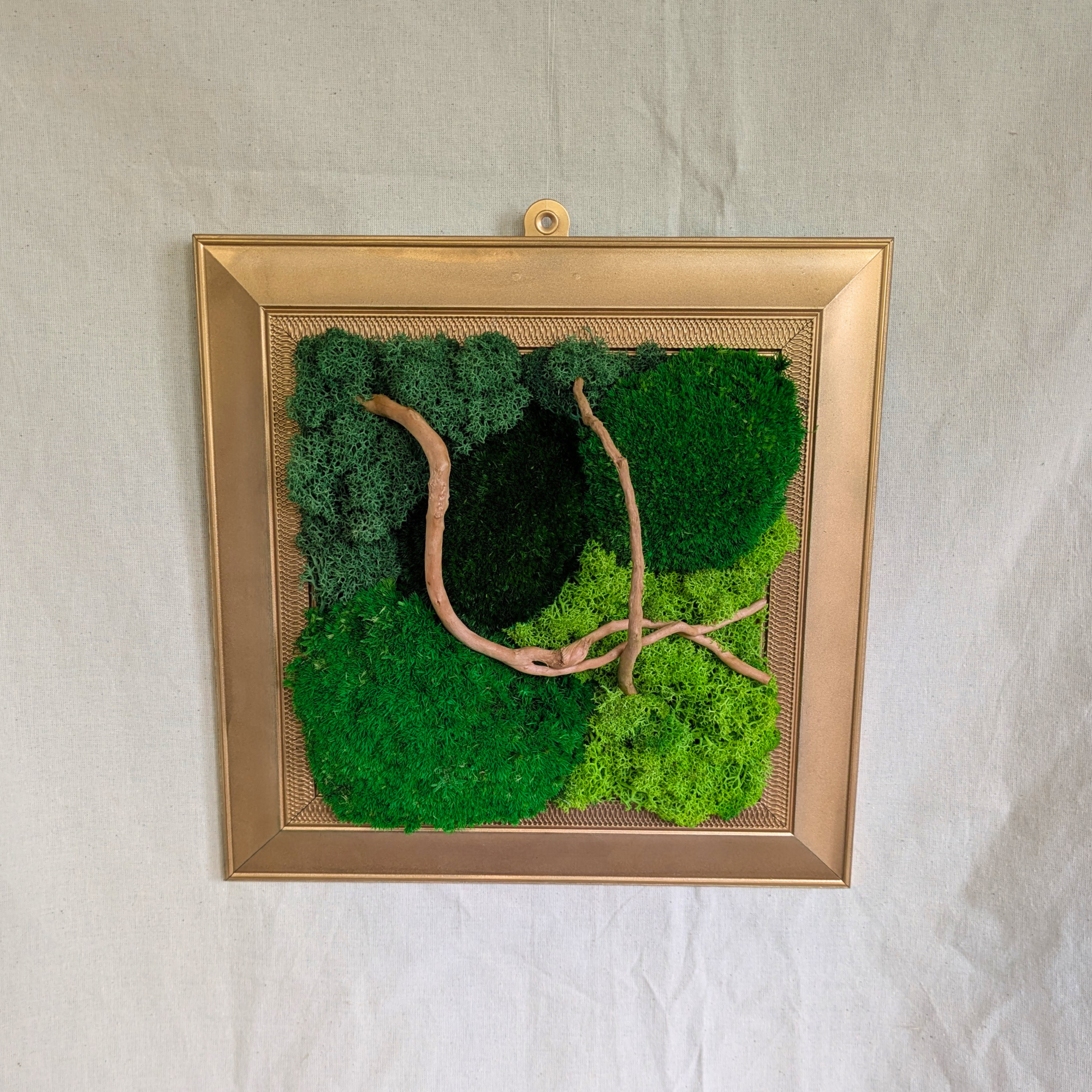Medium Gold Square Moss Frame with Driftwood - Image 3