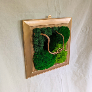 Medium Gold Square Moss Frame with Driftwood