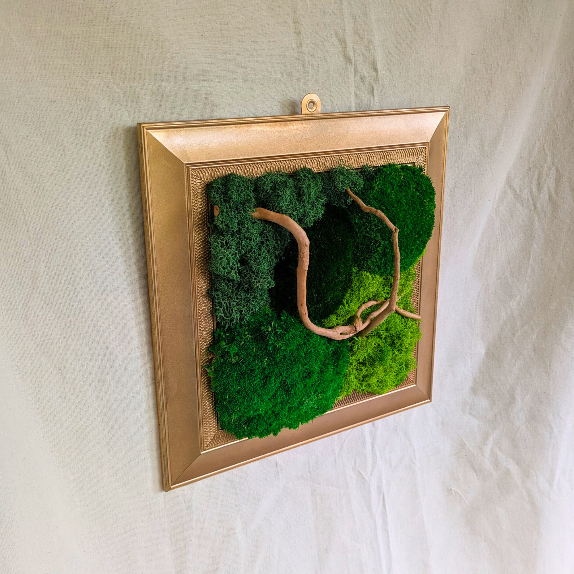 Medium Gold Square Moss Frame with Driftwood