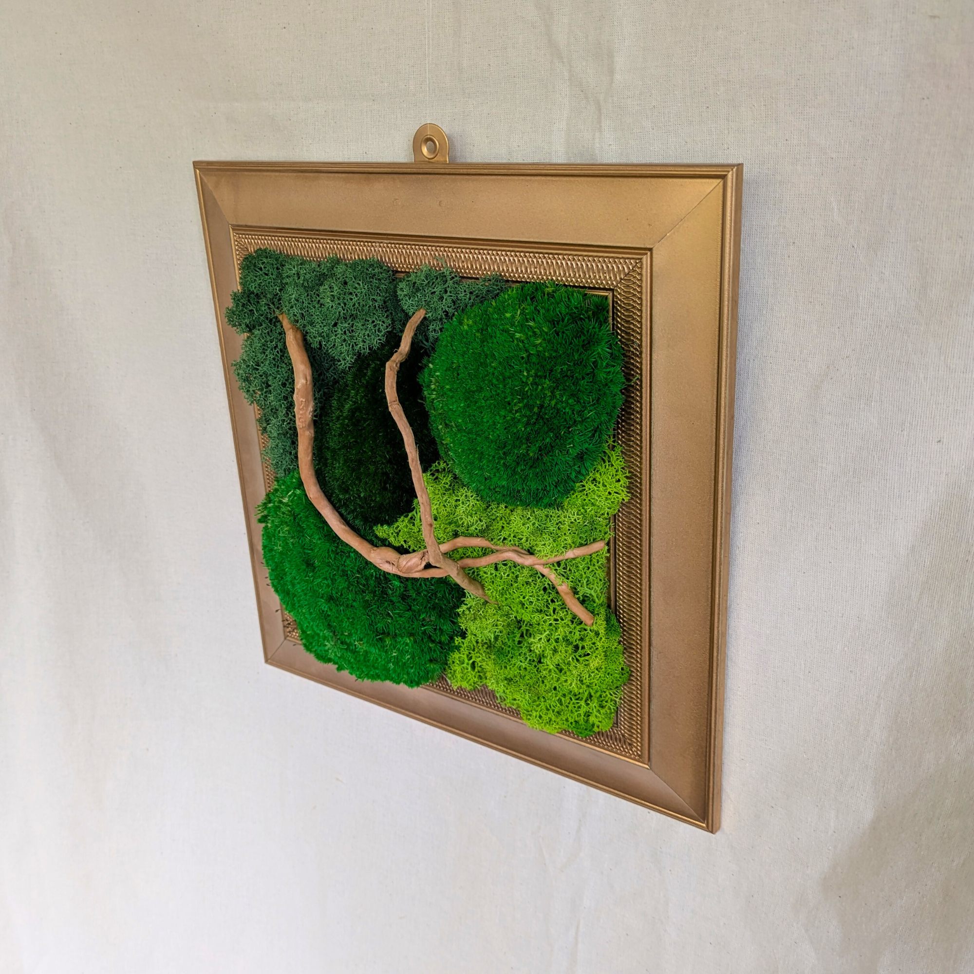 Medium Gold Square Moss Frame with Driftwood - Image 2