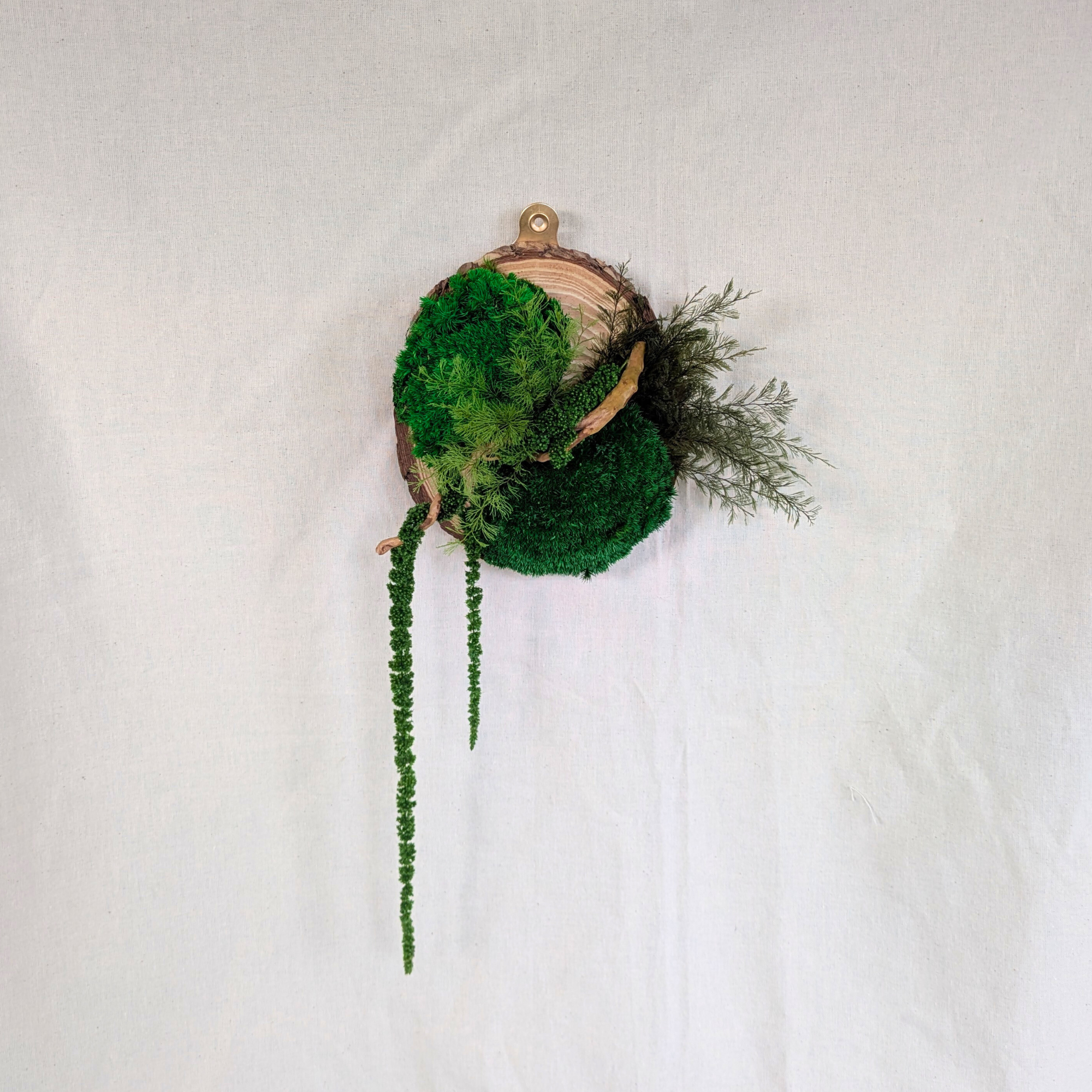 Wood Slice Decor with Preserved Moss featuring Driftwood, Air Ferns & Amaranthus - Image 2