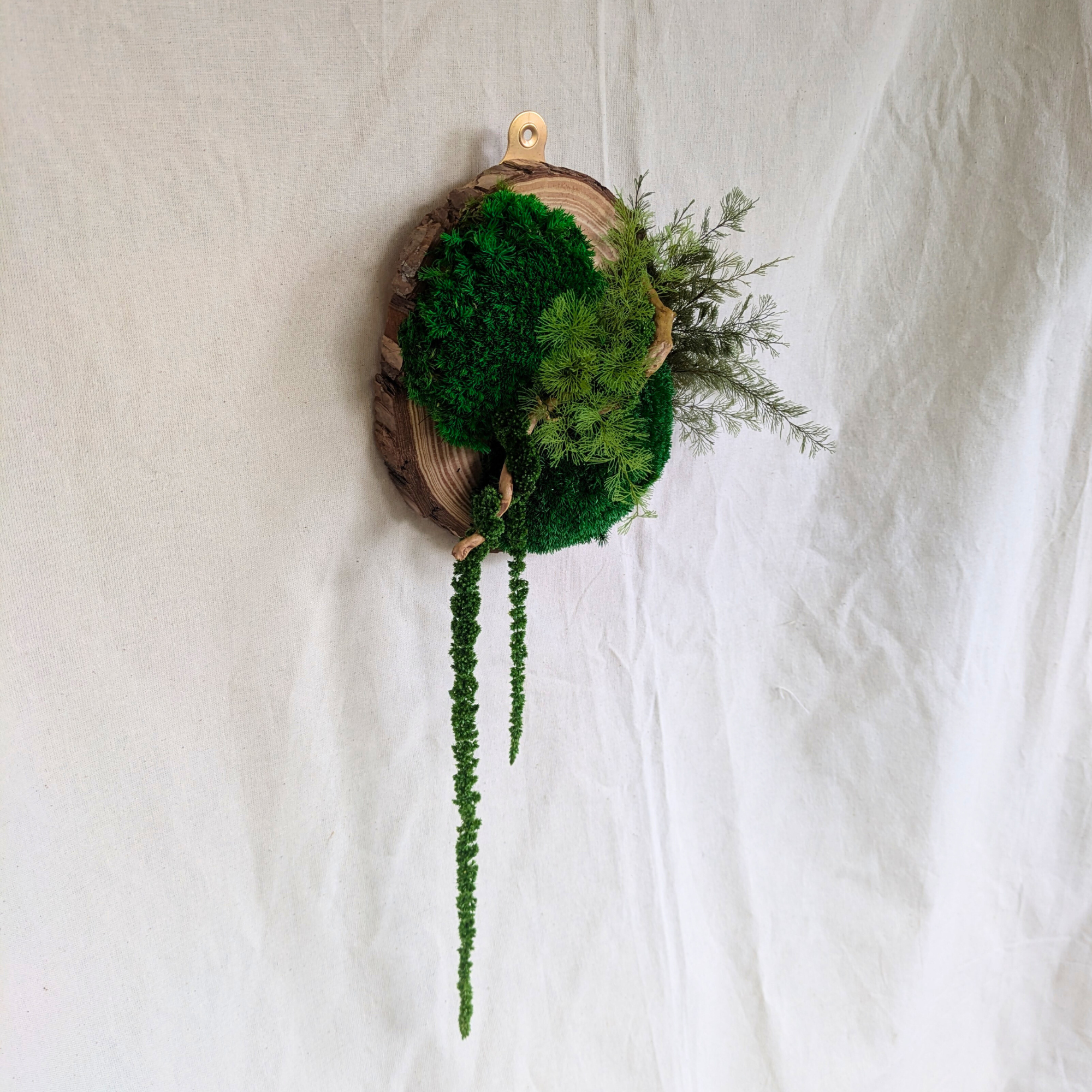 Wood Slice Decor with Preserved Moss featuring Driftwood, Air Ferns & Amaranthus - Image 3