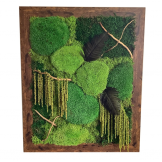 XL Moss Frame with Sword Ferns, Driftwood & Amaranthus