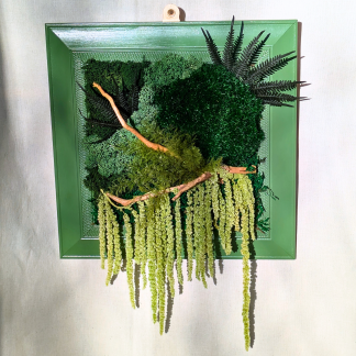 Large Square Moss Frame with Air Ferns, Ferns, Amaranthus & Driftwood