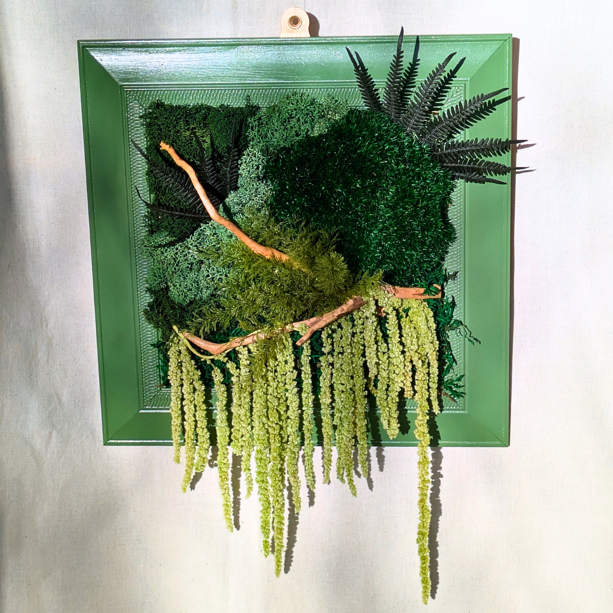 Large Square Moss Frame with Air Ferns, Ferns, Amaranthus & Driftwood