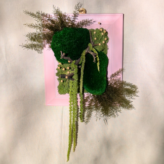 Medium Pink Moss Frame with Statement Driftwood, Flax, Air Ferns & Amaranthus