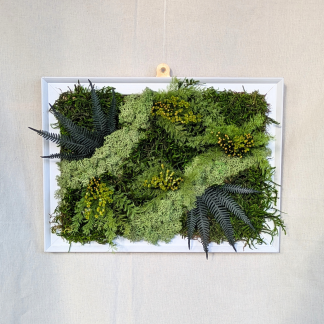 Large Moss Frame with Air Ferns, Ferns & Solidago Blooms