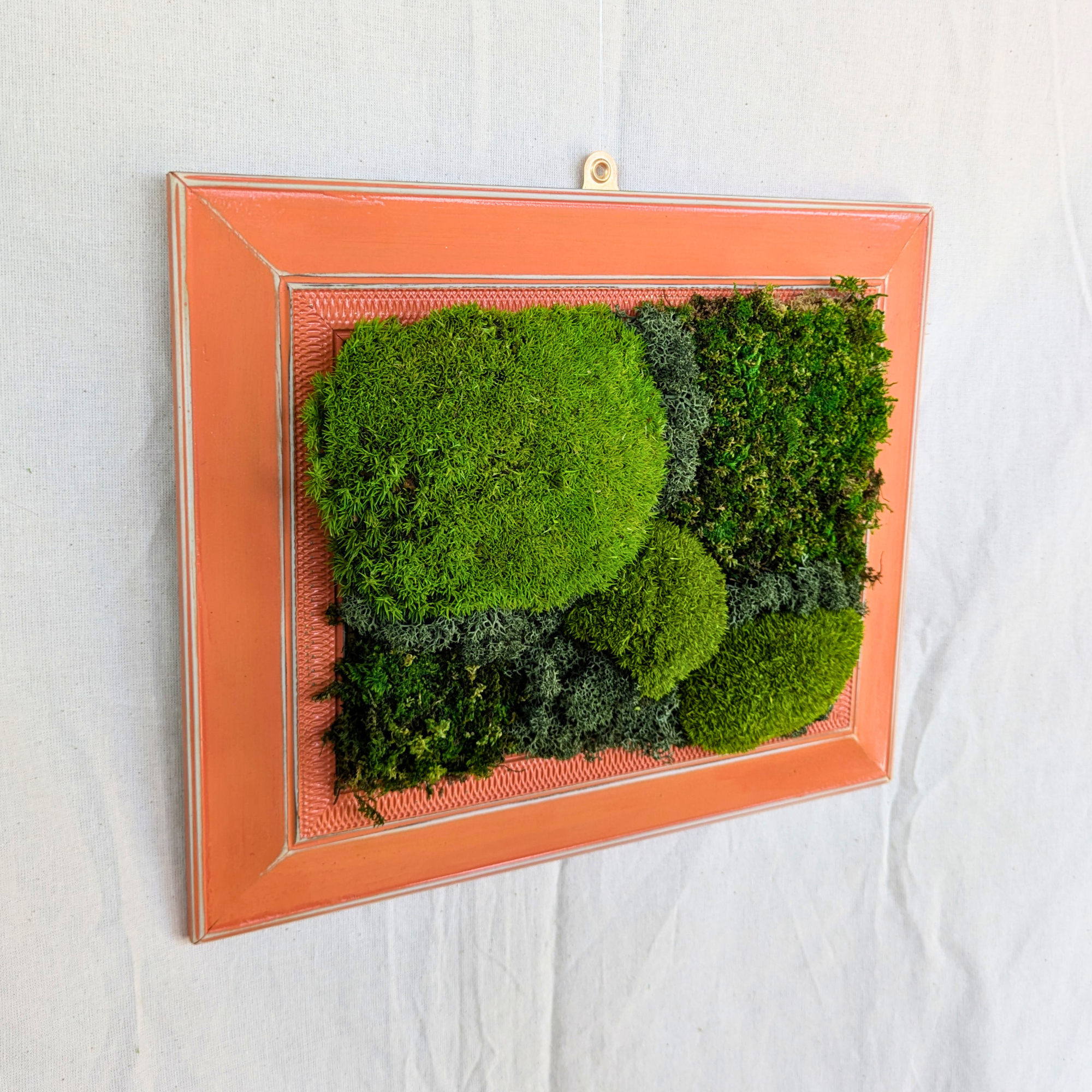 Medium Distressed Orange Frame with Preserved Moss - Image 2