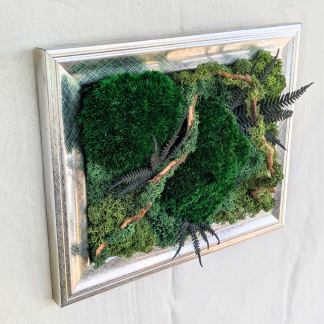 Medium Silver Moss Frame with Driftwood & 'Brilliance' Ferns