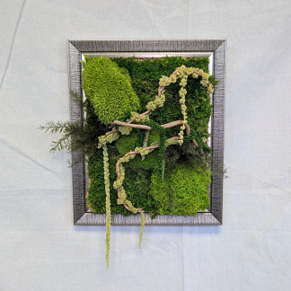 Large Silver Moss Frame with Amaranthus, Air Ferns & Driftwood