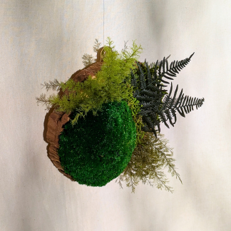 Small Wood Slice with Preserved Moss, Ferns & Air Ferns