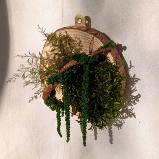 Small Wood Slice with Preserved Moss, Air Ferns, Amaranthus & Driftwood