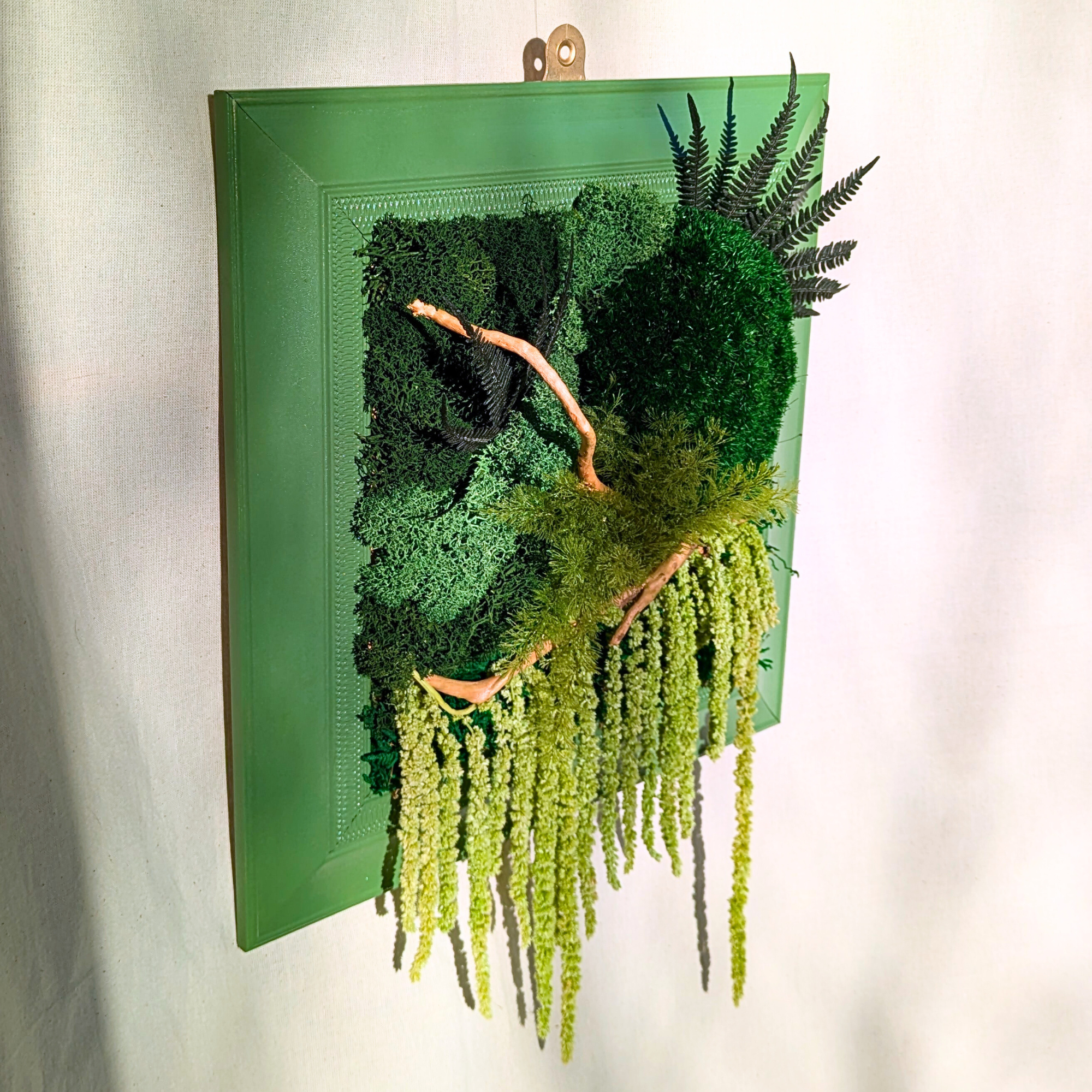 Large Square Moss Frame with Air Ferns, Ferns, Amaranthus & Driftwood - Image 2
