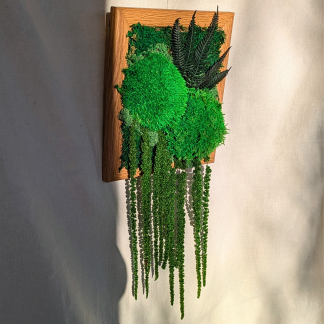 Medium Wood Moss Frame with Ferns & Amaranthus