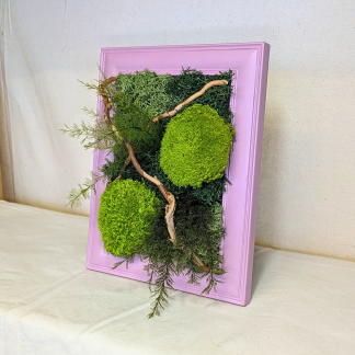 Small Baby Pink Moss Frame with Driftwood & Air Ferns