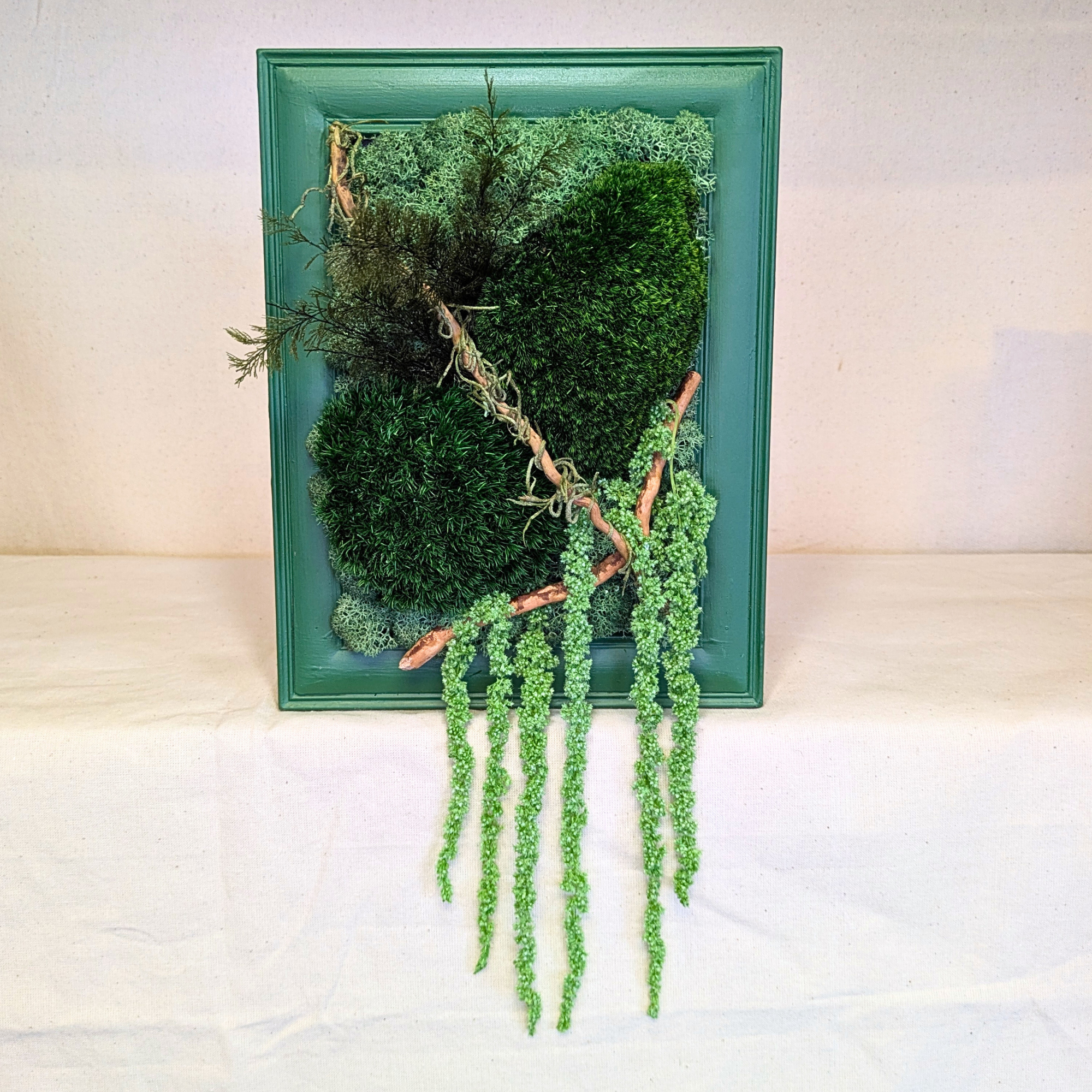 Small Green Moss Frame with Driftwood, Air Ferns, Spanish Moss & Amaranthus - Image 3