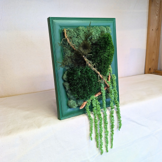 Small Green Moss Frame with Driftwood, Air Ferns, Spanish Moss & Amaranthus