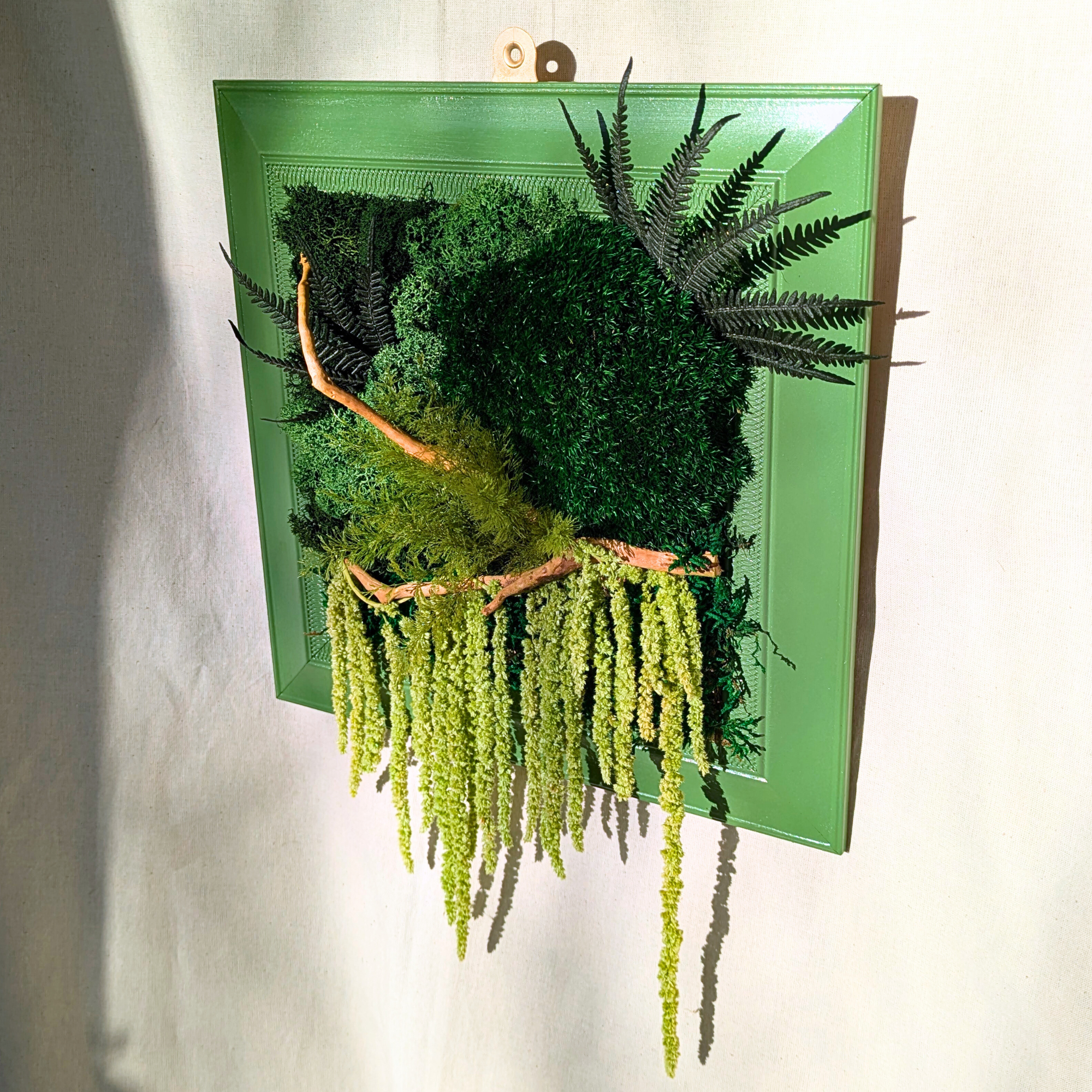 Large Square Moss Frame with Air Ferns, Ferns, Amaranthus & Driftwood - Image 3