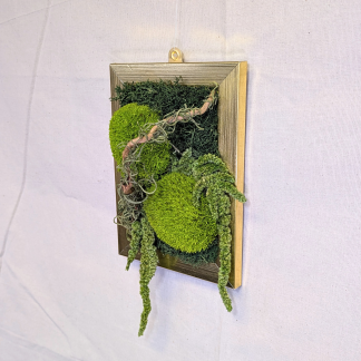 Small Gold Moss Frame with Spanish Moss, Amaranthus & Driftwood